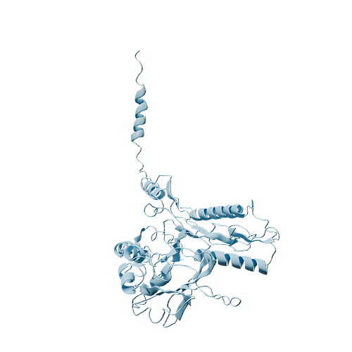 P01137-Human TGF-beta 1-3d structure.jpg